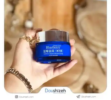 کرم آبرسان پوست بلوبری BIOAQUA