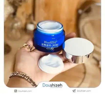 کرم آبرسان پوست بلوبری BIOAQUA