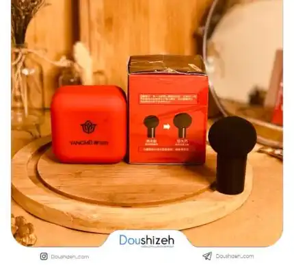 کوشن یانگمی اصلی شماره 2 با پد قارچی YANGMEI