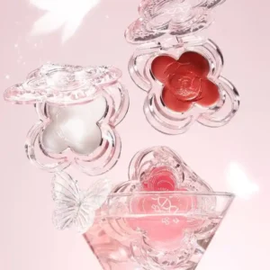 رژگونه چرب مدل پروانه 872 شی شی XIXI
